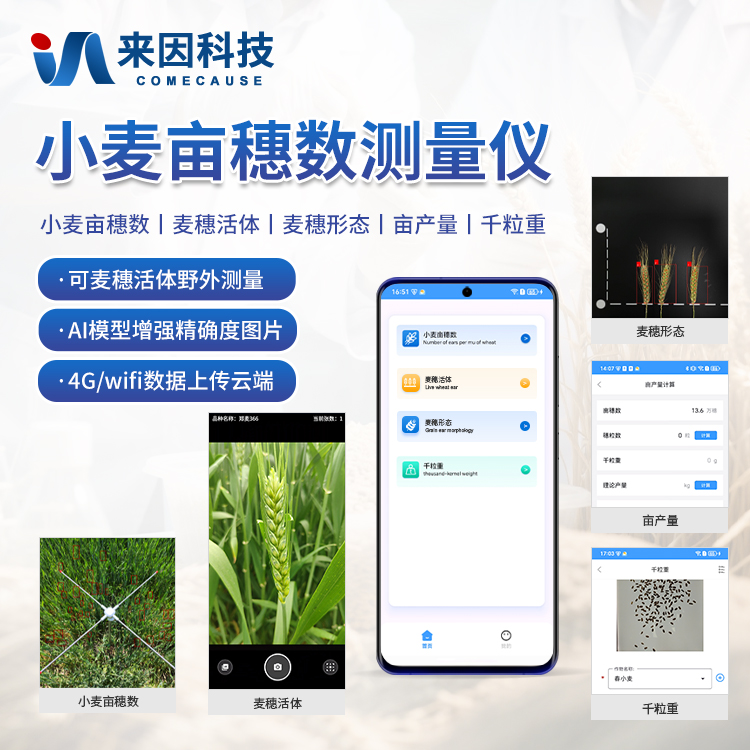 小麦表型测量仪