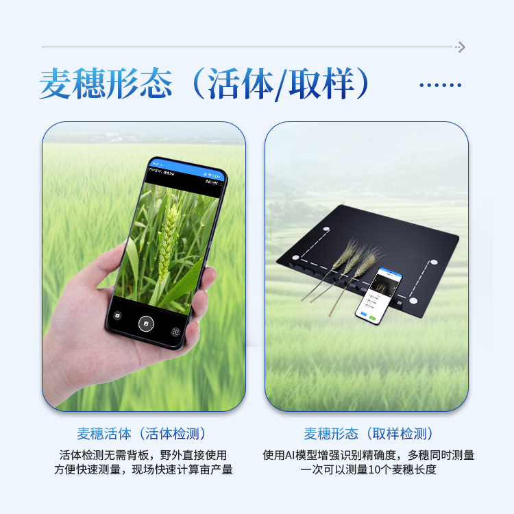 小麦亩穗数分析仪