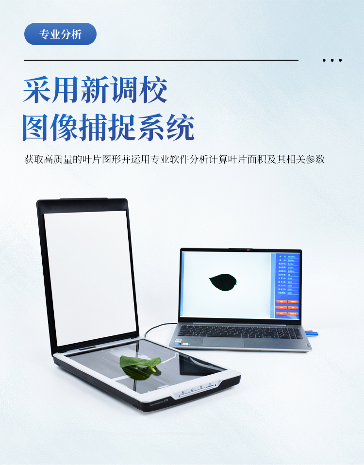 叶面积测量仪 叶面积测量仪