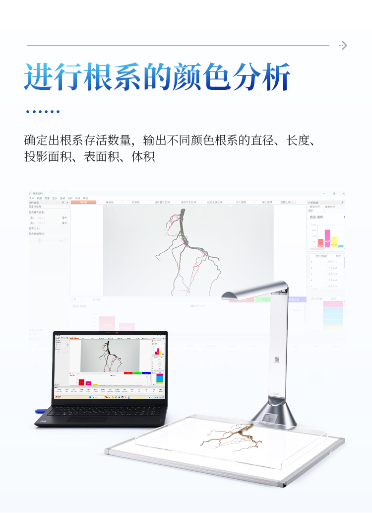 植物根系扫描系统 植物根系扫描系统